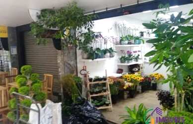 Imagem 3: LOJA - BELA VISTA - SP. 55m² de Área