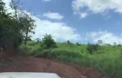 Imagem 4: 250 Hectares por 1,6 milhões de reais no Pará