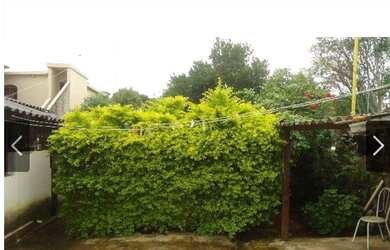 Imagem 1: casa com lote de 600 metros no Bet nia