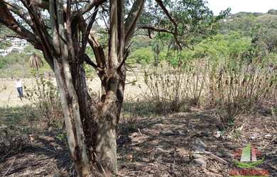 Imagem 13: Terreno à venda, 2000 m² por R$ 1.300.000 - Garças - Belo Horizonte/MG