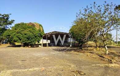 Imagem: O depósito possui 9.745m² de Área e está localizado em