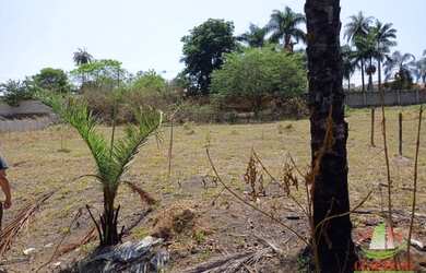 Imagem 14: Terreno à venda, 2000 m² por R$ 1.300.000 - Garças - Belo Horizonte/MG