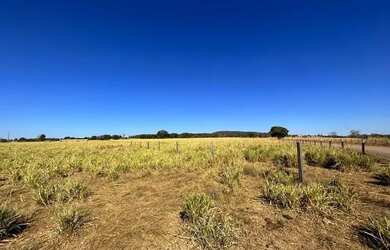 Imagem 8: fazenda dupla aptidão 540 hac