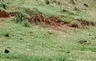 Imagem: A fazenda possui 19.000m² de Área e está localizado em Piracaia