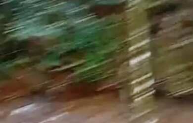 Imagem 7: A M IMOVEIS VENDE EXELENTE FAZENDA COM 400HECTARES EM PARACATU MG