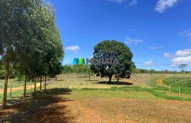 Imagem 4: FAZENDA À VENDA - 1.400 HECTARES - CURVELO MG