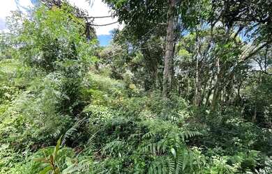 Imagem 4: Lote com projeto pronto no Terras Altas