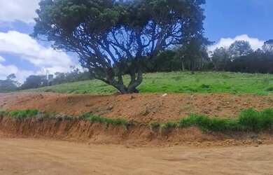 Imagem 6: Lote com vista para lago Terreno venda tem 500 metros quadrados em Lageadinho - Ibiúna - S