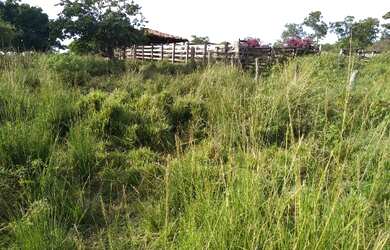 Imagem: A fazenda possui 5.360.000m² de Área e está localizado em