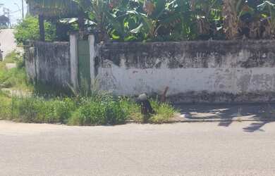 Imagem 5: Lote/Terreno para venda possui 416 m² em Boa Vista - São Gonçalo -...