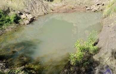 Imagem 8: CHÁCARA SÃO JOSÉ DO CAÍ