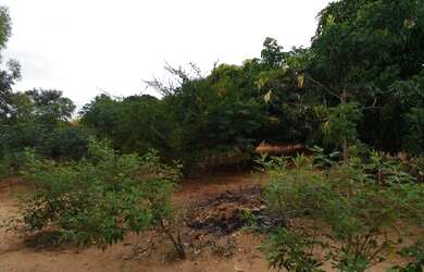 Imagem 9: Vende se sitio em maetinga