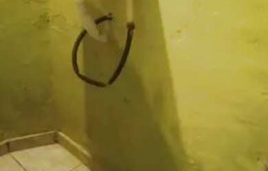 Imagem: A casa possui 2 Dormitórios, 1 Banheiro e está localizado