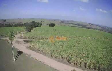 Imagem 16: Fazenda à venda, 1694000 m² por R$ 9.100.000 - Zona Rural - Conchas/SP