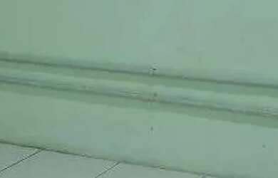 Imagem 7: Loja para aluguel, Barro Preto - Belo Horizonte/MG