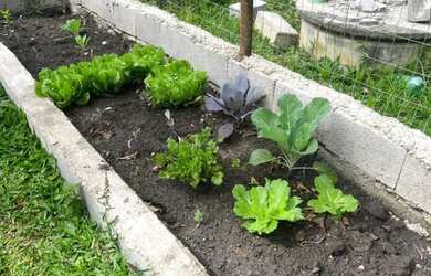Imagem 13: Chácara para Venda em Juquitiba, Centro