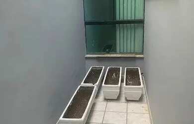 Imagem 8: casa comercial á venda no belém com 350m² e sem vaga