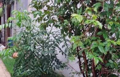 Imagem 10: Casa em Condomínio Fechado no Residencial Araguaia