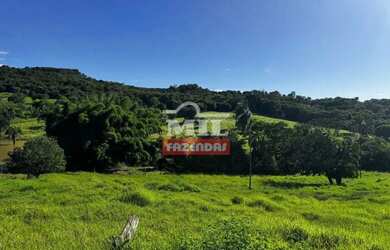 Imagem: A fazenda possui 500m² de Área e está localizado em Jandaia