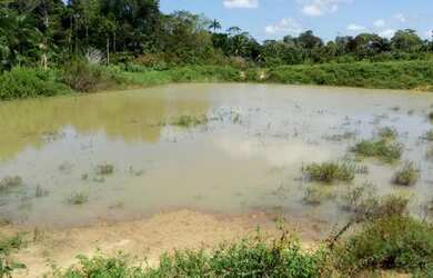 Imagem 10: Fazenda no Estado do Pará Com 300Ha, por R$1.8 milhões