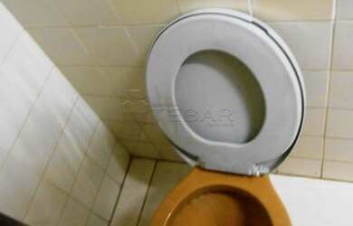 Imagem 7: Salão Salão em São José do Rio Preto