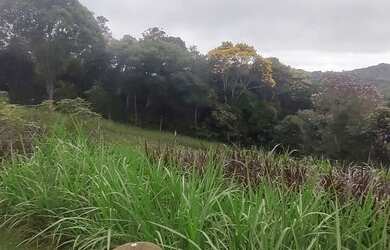 Imagem 4: 1.1 hectares pasto e capineira casarão 447 mil reais