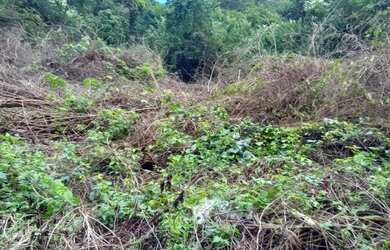 Imagem: A fazenda possui 1100m² de Área e está localizado em Guaratiba