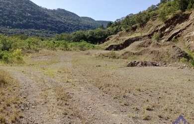 Imagem 6: CHÁCARA SÃO JOSÉ DO CAÍ