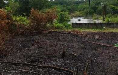Imagem: O terreno está localizado em Tarumã, Manaus à venda por R$35.000