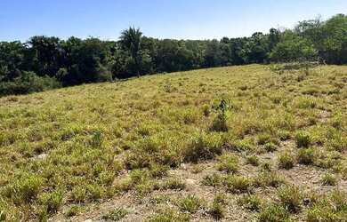 Imagem 6: fazenda dupla aptidão 540 hac