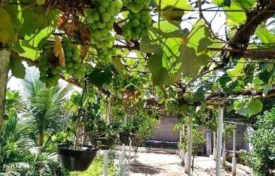 Imagem: A casa à venda possui 2 Dormitórios, 4 Banheiros, 2 Vagas