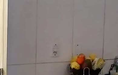 Imagem 11: Casa à venda em Dos Mangues com 52m², 2 Quarto(s) e 1 Vaga(s)