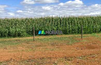 Imagem 14: FAZENDA À VENDA - 1.400 HECTARES - CURVELO MG