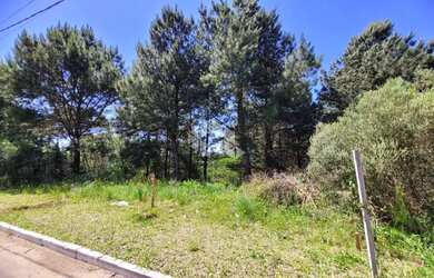 Imagem 5: TERRENO NO LOTEAMENTO MARSAL