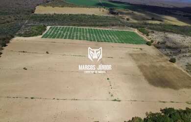 Imagem 6: FAZENDA NO NORTE DE MINAS COM PIVÔ NA BEIRA DO RIO SÃO FRANCISCO PARA...