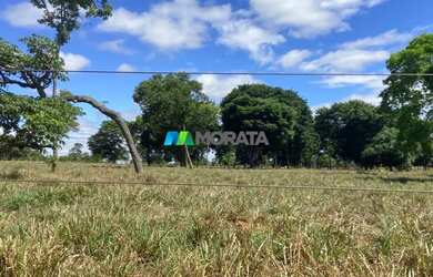 Imagem 10: FAZENDA À VENDA - 1.400 HECTARES - CURVELO MG