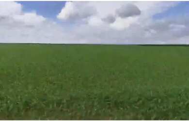 Imagem: A fazenda possui 1804000m² de Área e está localizado em Lagoa