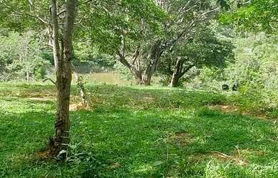 Imagem: A fazenda possui 40.000m² de Área e está localizado em Jaboticatubas