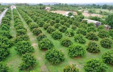 Imagem: A fazenda possui 130m² de Área e está localizado em Centro
