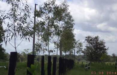 Imagem 4: Fazenda no Estado do Pará Com 300Ha, por R$1.8 milhões
