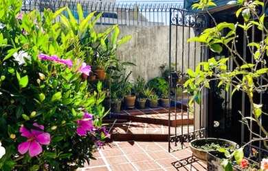 Imagem 16: Maravilhoso sobrado seguro e ensolarado. Arquitetura atemporal