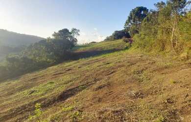 Imagem: A fazenda está localizado em Munhoz, MG à venda por R$120.000