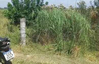 Imagem 6: Vendo terreno porangaba. 1.000m² de Área