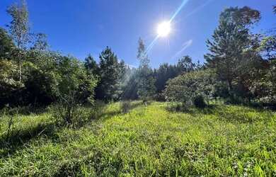 Imagem 5: Chácara De Frente Para Rua Principal. 1T19TD3