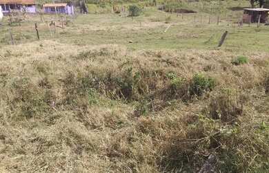 Imagem 3: Terreno pra chácara. 900m² de Área