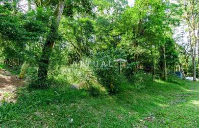 Imagem 2: LINDO LOTE NO CONDOMÍNIO PINHEIRO GROSSO