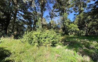 Imagem 2: Lote em bairro residencial a venda