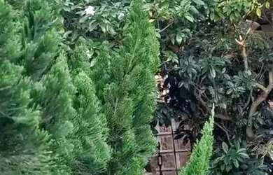 Imagem 2: CASA CONDOMÍNIO FECHADO, QUATRO SUÍTES, NASCENTE