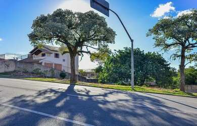 Imagem 4: Vendas Terreno Curitiba PR