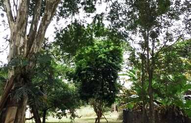 Imagem 4: Barão Geraldo - Chácaras Santa Margarida Guará terreno de 1.830m2